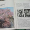 788391-MLA111290727291_052026 Libro Del Árbol - J Santos Biloni - Ing. Milan Jorge Dimitri