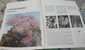 788391-MLA111290727291_052026 Libro Del Árbol - J Santos Biloni - Ing. Milan Jorge Dimitri