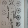 Los Chakras - Una Monografía C.w. Leadbeater