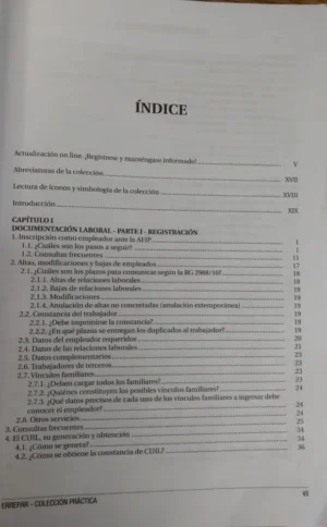 Guía Práctica Para El Empleador - Mirta Noemí Userpater