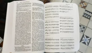 798868-MLA100251998725_122025 20 Tomos The New Grove Dictionary Of Music & Musicians Sadie