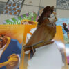 Princesas Disney Con Figura Armable - Rapunzel /ariel/bella