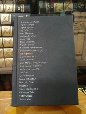 Emergencia Alfredo Jaar. África. Museo Castilla Y León Musac