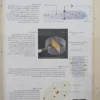 805175-MLA108193120547_032026 Química - Santillana Perspectivas - Alegría - Franco - Otros