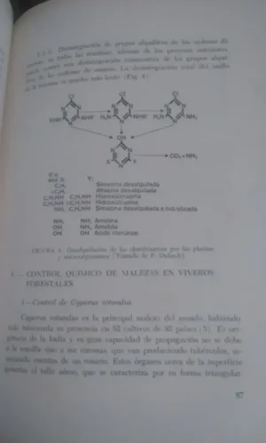 828314-MLA32842691328_112019 Manejo Y Mejoramiento Del Bosque Cultivado - Unl Y Mag