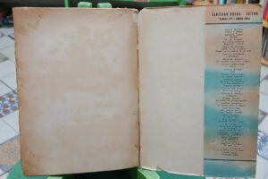 Mansiones Verdes - W. H. Hudson