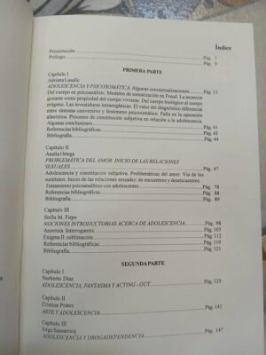 835217-MLA81630927977_122024 Clínica Psicoanalítica Con Adolescentes - Firpo, Lasalle...