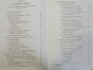 Tratado De Decho Del Trabajo Tomo I - M. Ackerman, D. Tosca