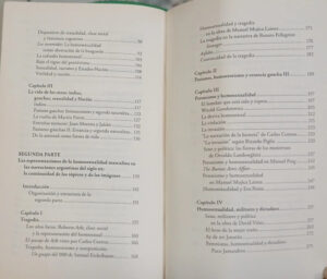 846638-MLA110637819768_052026 Historia De La Literatura Gay En Argentina Adrián Melo - Lea
