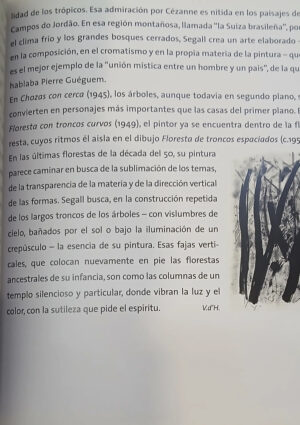 Un Expresionista Brasileño - Lasar Segall