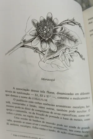 855385-MLA92048949839_092025 Curas Pela Química Oculta: Realidades Na Medicina - Clemente