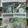Pack 8 Números Revista Ornitofilia - Ornitología - 1970-1972