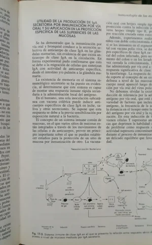 870799-MLA88782338832_082025 Inmunología E Inmunoquímica 4ta Edición - Ricardo A. Margni