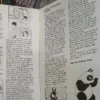 Lote 24 Tomos (1 A 24) Ranma 1/2 Rumiko Takahashi Ivrea 1999