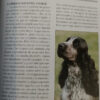 Cocker Spaniel Inglés - H. Van Wessem