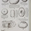 901708-MLA110789003788_052026 El Origen Del Neolítico En El Próximo Oriente - Aurenche Y K