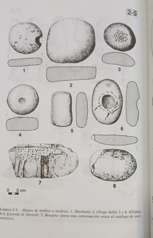 901708-MLA110789003788_052026 El Origen Del Neolítico En El Próximo Oriente - Aurenche Y K