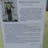 909638-MLA31642641017_072019 Mujeres Golpeadas Y Otros Relatos, Sergio Gioacchini