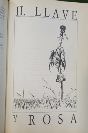 La Torre Oscura/3. Las Tierras Baldías - Stephen King
