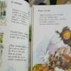 912158-MLA93839406739_092025 Biblioteca Infantil Británica 12 T - Encyclopedia Britannica