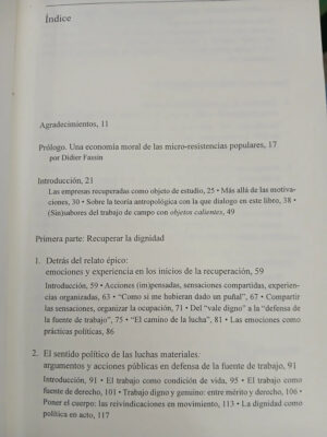 921089-MLA83533694296_042025 La Política Afectada - María Inés Fernández Alvarez