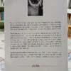 934947-MLA88514859103_072025 Putita Golosa - Por Un Feminismo Del Goce - Luciana Peker