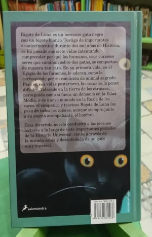 Siete Veces Gato - Domenica Luciani