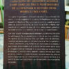 945451-MLA94036986064_102025 La Gravedad Entre Nosotros - Phil Stamper