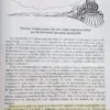 El Fascinante Tren A Las Nubes - Federico B. Kirbus