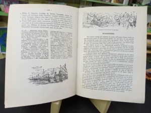 Nova Maia: Antología Latina Para La Escuela Media