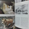 953757-MLA69345795077_052023 El Gran Libro Del Husky Siberiano - Jessica Vallerino