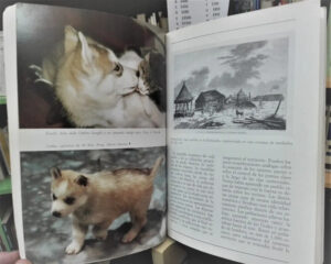 953757-MLA69345795077_052023 El Gran Libro Del Husky Siberiano - Jessica Vallerino