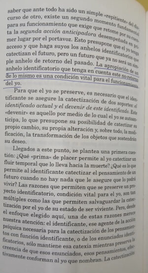 Los Destinos Del Placer - Piera Aulagnier