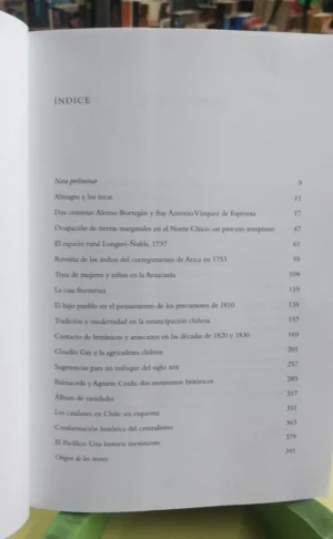 Estudios Y Ensayos Historia De Chile - Sergio Villalobos R.
