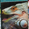 962637-MLA98417111096_112025 Mundo Animal - Reptiles Y Anfibios - Carlos A. Campos Salvá