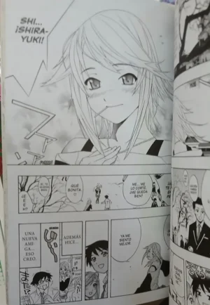 964124-MLA86844625017_062025 Rosario + Vampire - Akihisa Ikeda (lote 10 Números)