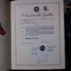 966376-MLA33025612201_112019 Comune Di Vasia - Archivo De Entrega Del Escudo De La Comuna