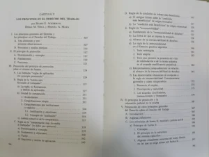 Tratado De Decho Del Trabajo Tomo I - M. Ackerman, D. Tosca