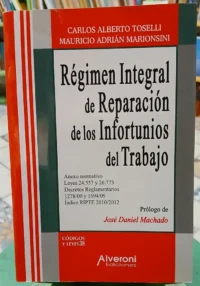 Régimen Integral De Reparación De Infortunios Del Trabajo
