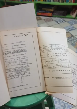 Historia De La Propiedad Territorial En El Municipio Rosario