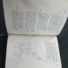 Martín Fierro José Hernández Colección Crisol Ilustrado