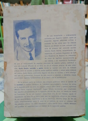 Existe Una Literatura Nacional? Y Otros Ensayos, Ayala Gauna