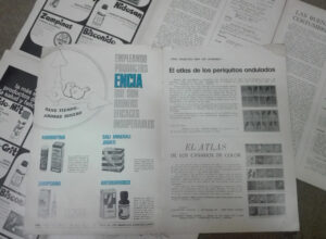Pack 8 Números Revista Ornitofilia - Ornitología - 1970-1972