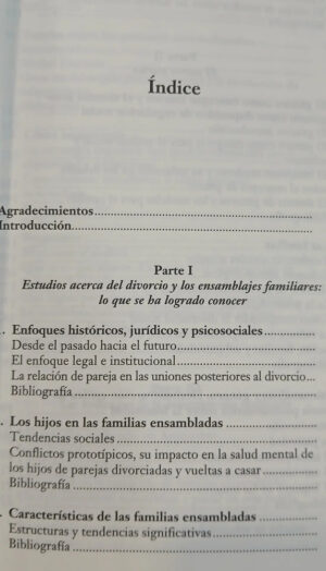 996677-MLA96317477756_102025 Recomenzar: Amor Y Poder Después Del Divorcio - Irene Meler