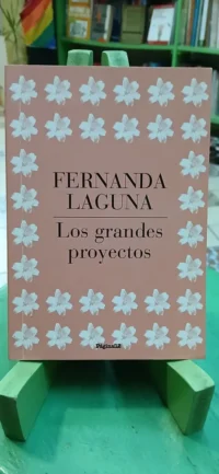 Fernanda Laguna - Los Grandes Proyectos - Página 12