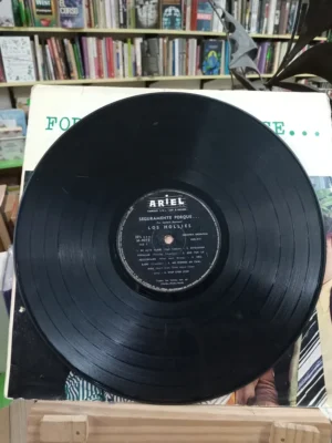 The Hollies, For Certain Because, Long Play Vinilo 1967 Estándar