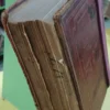 Guía Médica - Chernoviz 1899