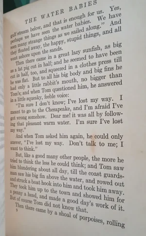 The Water Babies - Charles Kingsley -