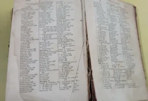 Guía Médica - Chernoviz 1899