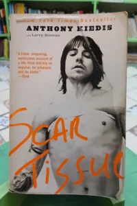Anthony Kiedis - Scar Tissue